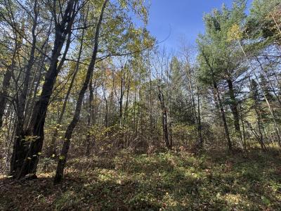 0660W HWY 51, Mercer, Wisconsin 54547, HOA KỲ