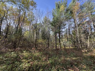 0660W HWY 51, Mercer, Wisconsin 54547, HOA KỲ