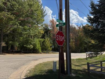 425 Atwood Drive, Prudenville, Michigan 48651