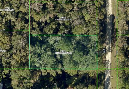 Lot 3 Carolina Dove Road, Weeki Wachee, 佛罗里达州 34614, 美国