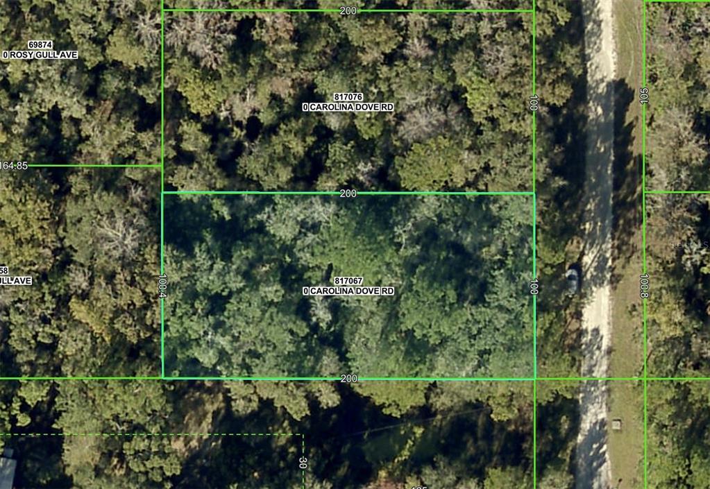 Lot 3 Carolina Dove Road, Weeki Wachee, 佛罗里达州 34614, 美国