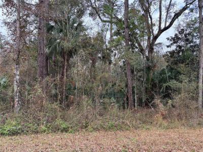 Lot 3 Carolina Dove Road, Weeki Wachee, 佛罗里达州 34614, 美国