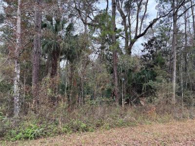 Lot 3 Carolina Dove Road, Weeki Wachee, 佛罗里达州 34614, 美国