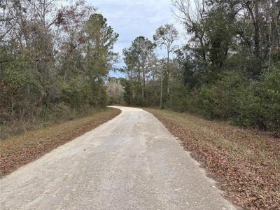 Lot 3 Carolina Dove Road, Weeki Wachee, 佛罗里达州 34614, 美国
