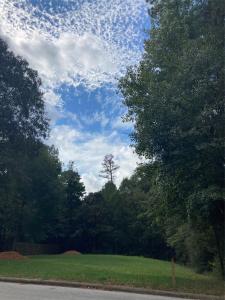 3348 Knob Oaks, Huntsville, Texas 77340, HOA KỲ