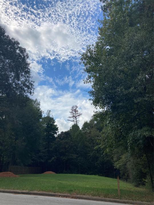 3348 Knob Oaks, Huntsville, Texas 77340, HOA KỲ