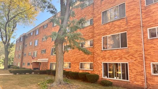 6220 N Ridge Avenue #S203, Chicago, Illinois 60660, USA