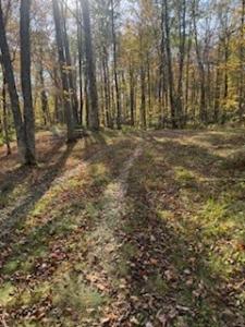 2728 28 3/8 Street, Birchwood, 威斯康辛州 54817, 美国