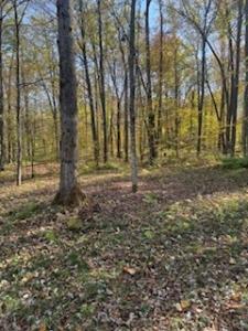 2728 28 3/8 Street, Birchwood, 威斯康辛州 54817, 美国