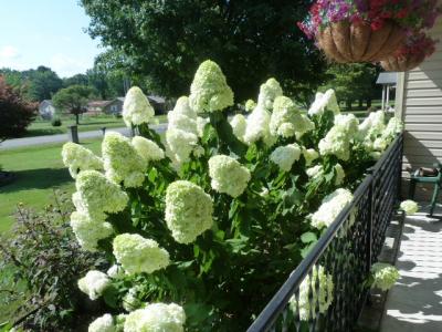 315 New Union Hts, Manchester, Tennessee 37355, HOA KỲ