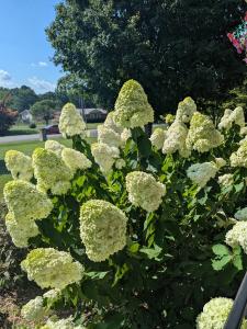 315 New Union Hts, Manchester, Tennessee 37355, HOA KỲ