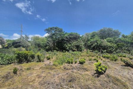 Ocean Vista Waterfront Lot, Westerhall Point, St.David West Indies, Grenada