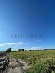 Tupungato, Mendoza 00001, Argentyna