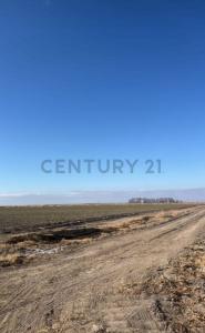 Tupungato, Mendoza 00001, Argentyna