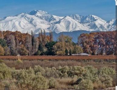 Tupungato, Mendoza 5561, Argentine