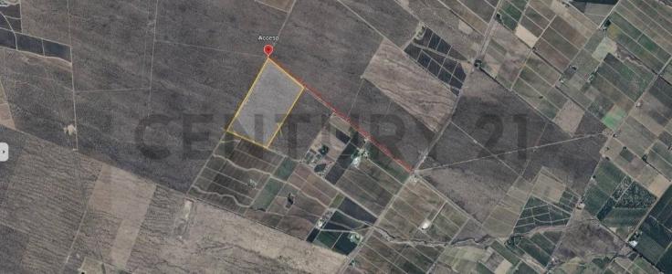 Tupungato, Mendoza 5561, Argentine