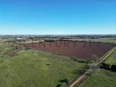 Arrecifes, Buenos Aires (fuera De GBA) 2740, الأرجنتين