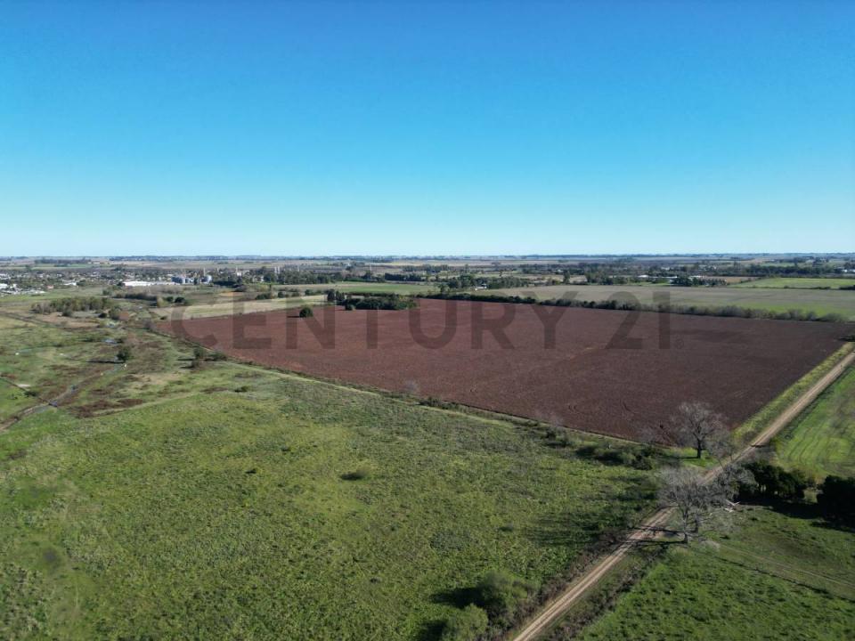 Arrecifes, Buenos Aires (fuera De GBA) 2740, الأرجنتين