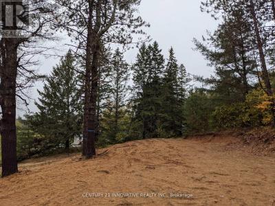 57 BIRD LAKE ROAD, Hastings Highlands (herschel Ward), Ontario K0L 1C0, Canada