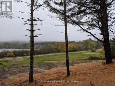 57 BIRD LAKE ROAD, Hastings Highlands (herschel Ward), Ontario K0L 1C0, Canada