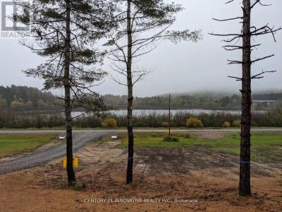 57 BIRD LAKE ROAD, Hastings Highlands (herschel Ward), Ontario K0L 1C0, Canada