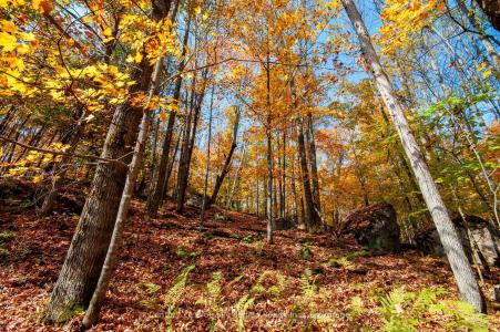 1061 SOUTH SHORE ROAD, East Ferris, Ontario P0H 1B0, CANADÁ