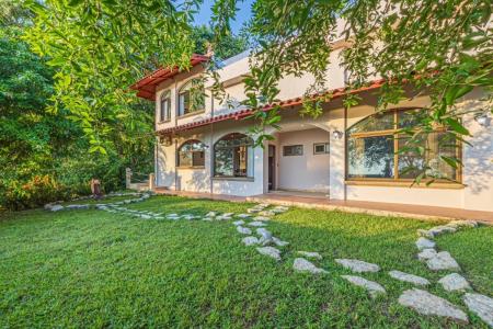 Dominical , Dominical Bahía Ballena Osa, 蓬塔雷納斯 00001, 哥斯達尼加