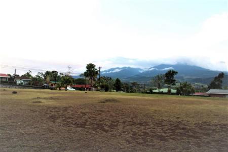 Palmera San Carlos, Alajuela 21009, Costa Rica