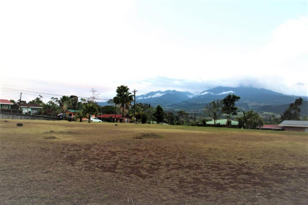 Palmera San Carlos, Alajuela 21009, Costa Rica
