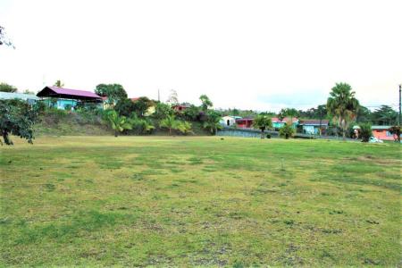 Palmera San Carlos, Alajuela 21009, Costa Rica