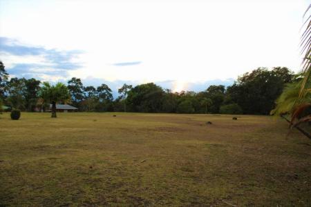 Palmera San Carlos, Alajuela 21009, Costa Rica