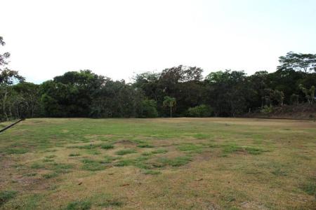 Palmera San Carlos, Alajuela 21009, Costa Rica