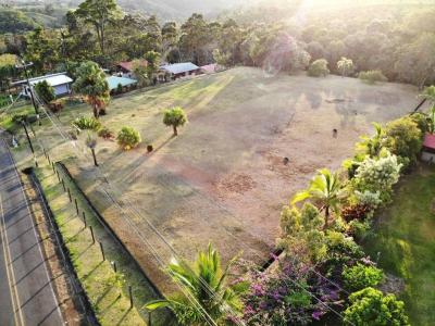 Palmera San Carlos, Alajuela 21009, Costa Rica