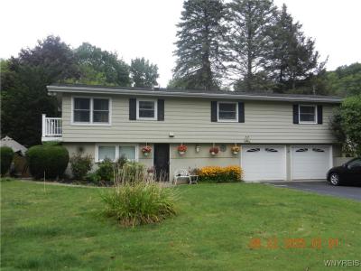 6390 Deanna Drive, Hamburg, NY 14075, USA