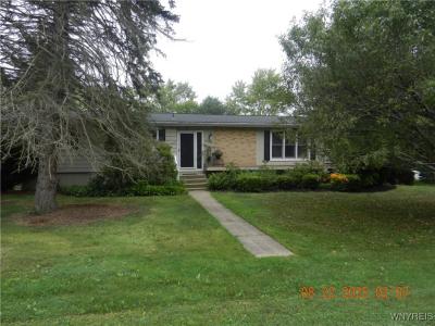 6390 Deanna Drive, 함부르그, 뉴욕 14075, 미국