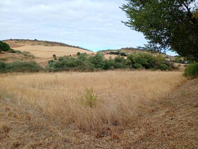 Guadalajara, Castilla-La Mancha 19185, Spain