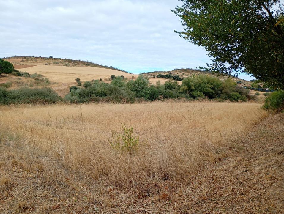 瓜达拉哈拉, Castilla-La Mancha 19185, 西班牙