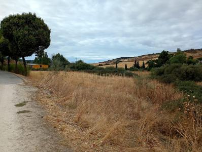 瓜达拉哈拉, Castilla-La Mancha 19185, 西班牙