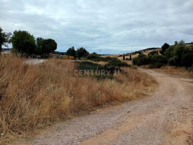 瓜达拉哈拉, Castilla-La Mancha 19185, 西班牙