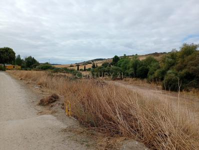 瓜达拉哈拉, Castilla-La Mancha 19185, 西班牙