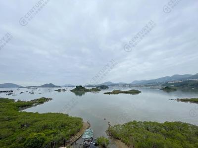 大網仔路, 早禾坑, Hong Kong, Hong Kong