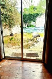 Ciudad Del Plata, San José 00001, Uruguay