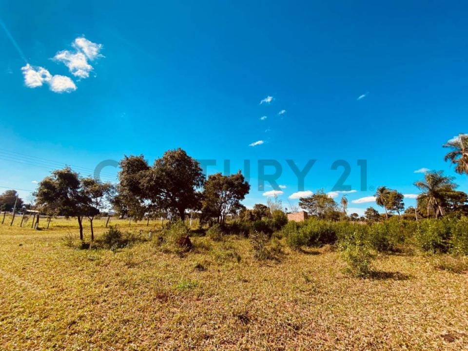 TORO BLANCO , Caaguazú, Caaguazú 00001, Paraguay