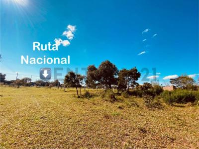 TORO BLANCO , Caaguazú, Caaguazú 00001, Paraguay