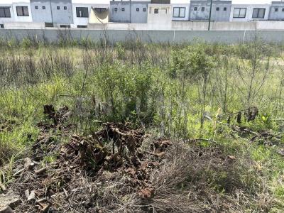 Cuautitlán Izcalli, Estado De Mexico 54769, Mexico