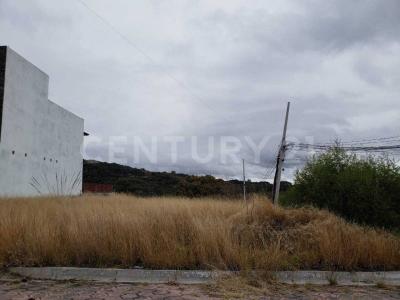 AV. HARAS DEL BOSQUE 2,, Amozoc, 푸에블라 72998, 멕시코