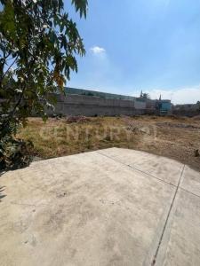 CALLEJON IRAPUATO S/N,, La Paz, Estado De Mexico 56400, Mexico