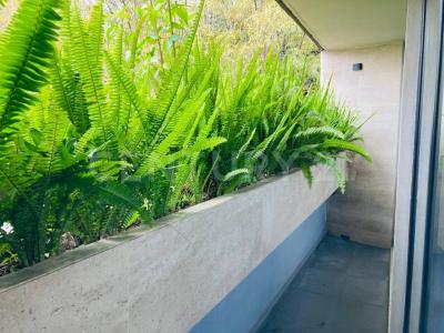 Eje 6 Sur Tintoreto ,, Benito Juárez, Ciudad De México 03710, Mexico