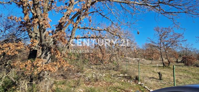 Zadar, Murvica Gornja, Zadar, Zadarska Županija, Croatia