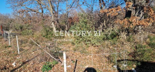 Zadar, Murvica Gornja, Zadar, Zadarska Županija, Croatia